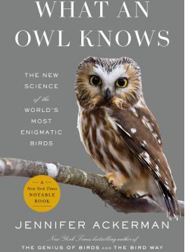 What an Owl Knows