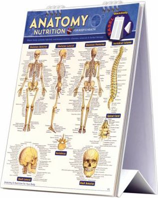 ANATOMY AND NUTRITIONAL EASEL